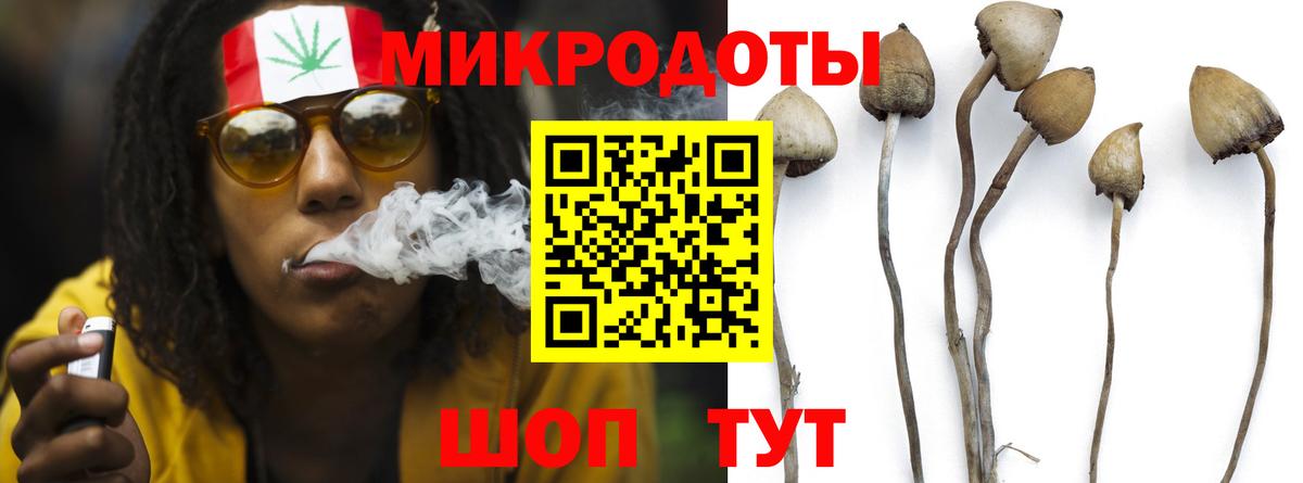 Галлюциногенные грибы GOLDEN TEACHER  Вход с VPN  Зима 